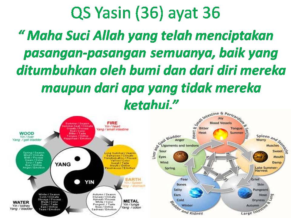 Klinik Sehati ICTM Islamic Traditional Chinese Medicine (2)